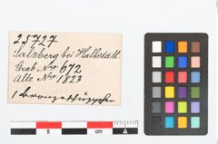 Etikett zu Bronzeknopf (NHMW-PRAE-025727)
